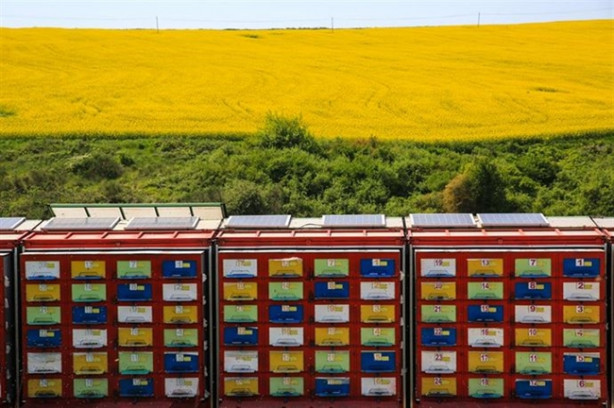Foto - Mobil arıcılık sistemiyle doğal bal üretiyor