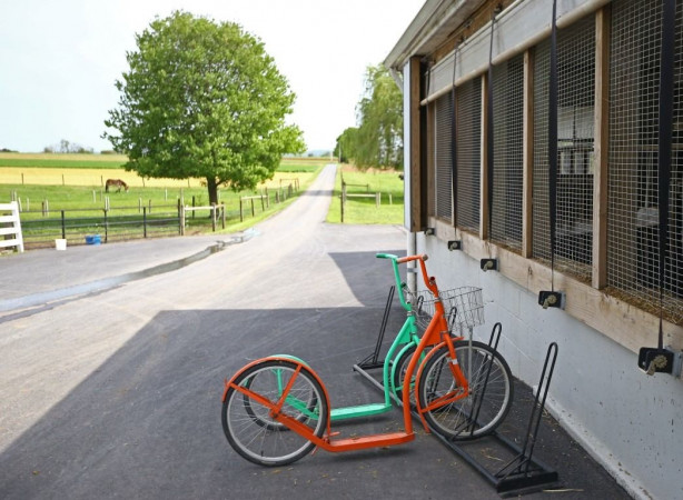 Foto - Modernizmi reddeden halk: Amishler!