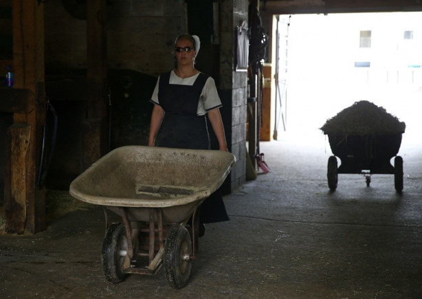 Foto - Modernizmi reddeden halk: Amishler!