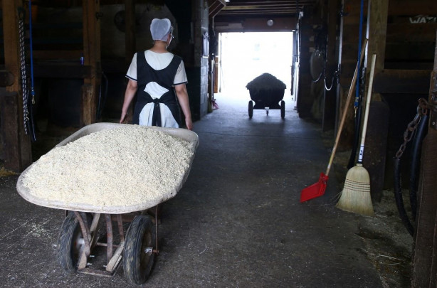 Foto - Modernizmi reddeden halk: Amishler!