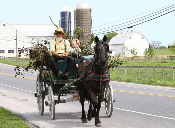 Foto - Modernizmi reddeden halk: Amishler!