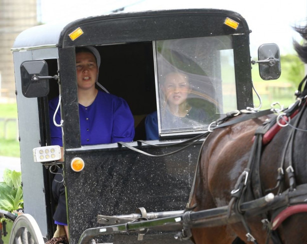Foto - Modernizmi reddeden halk: Amishler!