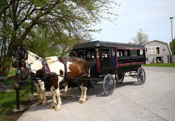 Foto - Modernizmi reddeden halk: Amishler!