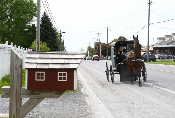 Foto - Modernizmi reddeden halk: Amishler!