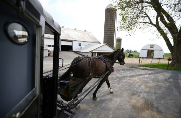 Foto - Modernizmi reddeden halk: Amishler!