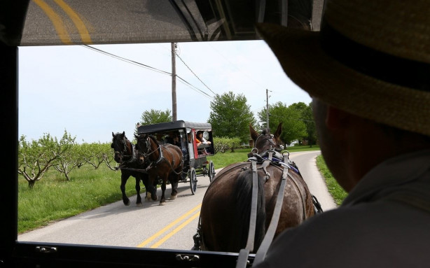Foto - Modernizmi reddeden halk: Amishler!