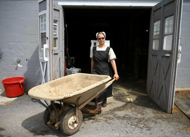 Foto - Modernizmi reddeden halk: Amishler!