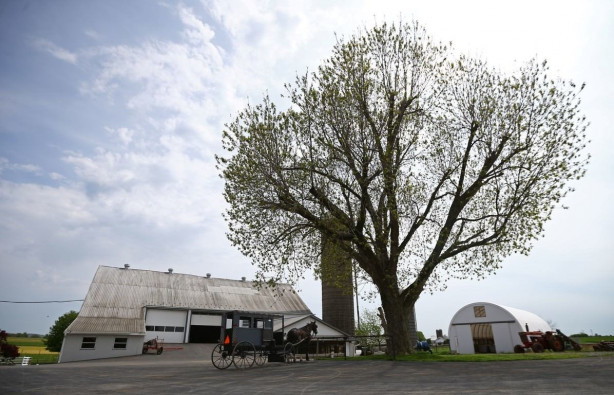 Foto - Modernizmi reddeden halk: Amishler!