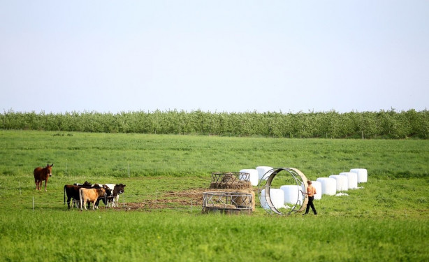 Foto - Modernizmi reddeden halk: Amishler!
