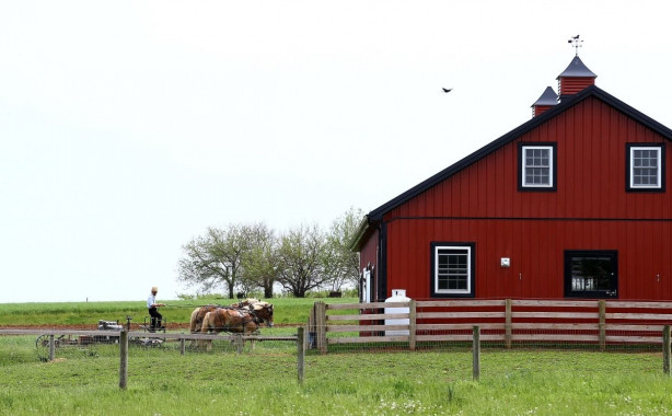 Foto - Modernizmi reddeden halk: Amishler!
