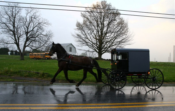 Foto - Modernizmi reddeden halk: Amishler!