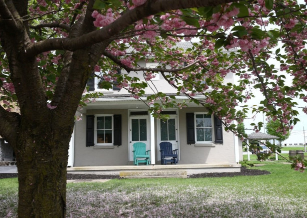 Foto - Modernizmi reddeden halk: Amishler!