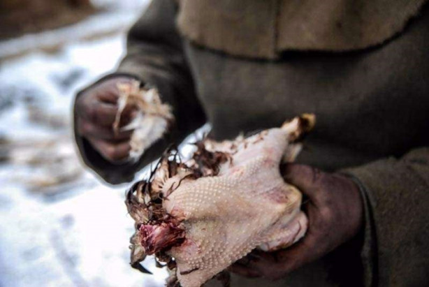 Foto - Modern hayatı ve teknolojiyi reddetti! Bakın nasıl yaşıyor...