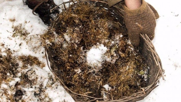 Foto - Modern hayatı ve teknolojiyi reddetti! Bakın nasıl yaşıyor...