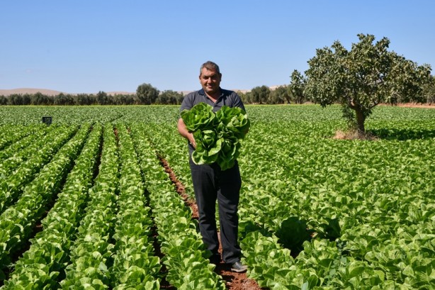 Foto - Modern sulama sistemleriyle yaklaşık 87 bin olimpik havuzluk su tasarrufu!