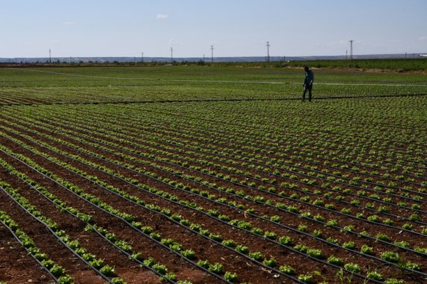 Foto - Modern sulama sistemleriyle yaklaşık 87 bin olimpik havuzluk su tasarrufu!