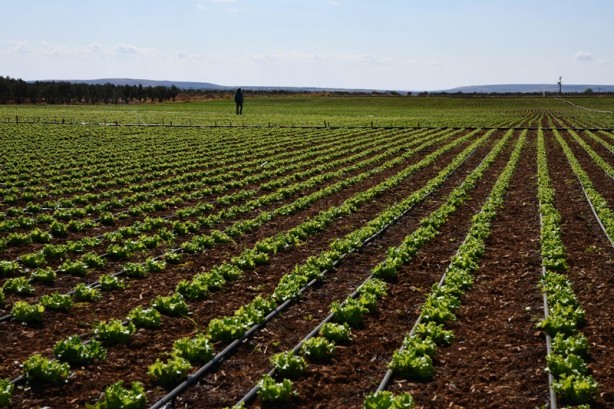 Foto - Modern sulama sistemleriyle yaklaşık 87 bin olimpik havuzluk su tasarrufu!