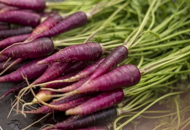 Foto - Mor besinler kanseri önlüyor!