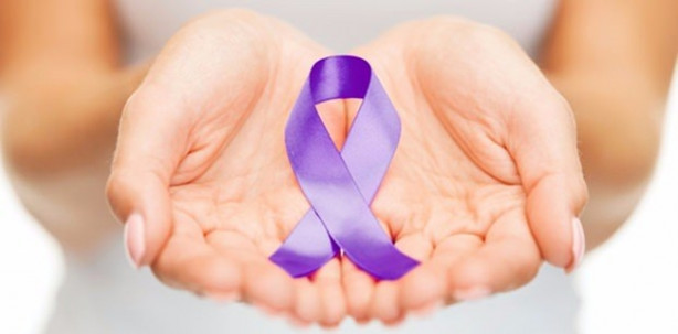 Foto - Mor besinler kanseri önlüyor!