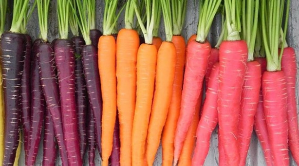 Foto - Mor besinler kanseri önlüyor!