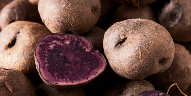 Foto - Mor patates nerede yetişir, nasıl yenir? Vitamin deposu: Mor patatesin faydaları, besin değeri ve kızartması tarifi