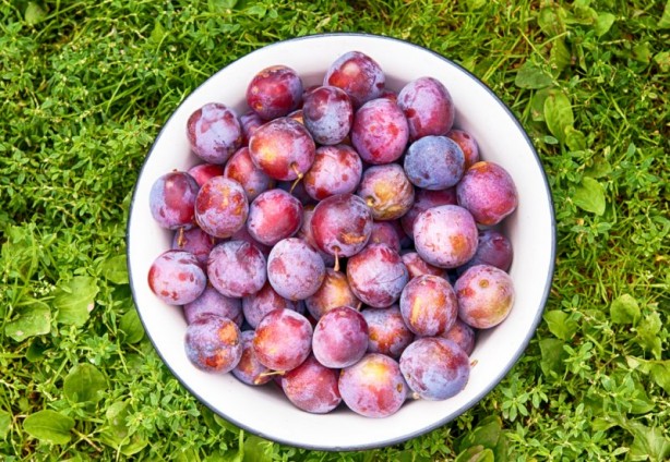 Foto - Mor sebze ve meyvelerin inanılmaz faydası