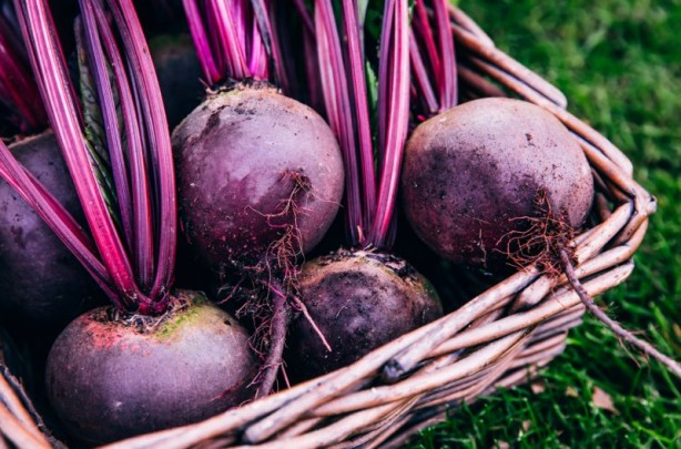 Foto - Mor sebze ve meyvelerin inanılmaz faydası