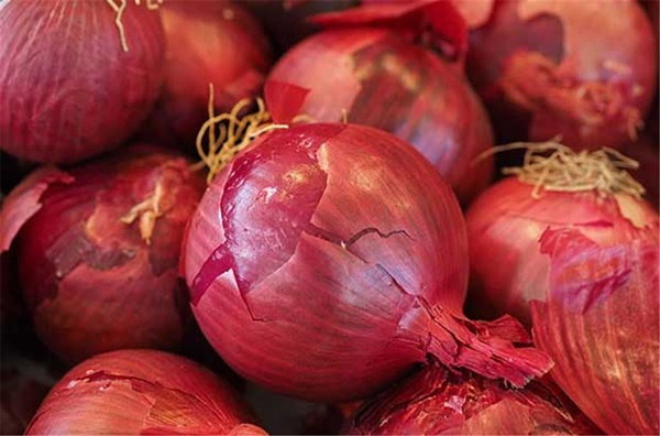 Foto - Mor soğan ve süt mucizesi