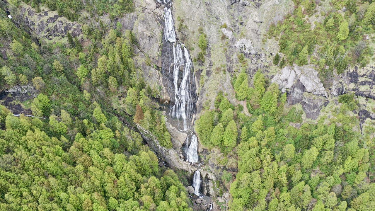 Foto - Mor ve sarı çiçekler, karla buluştu! Sis Dağı Yaylası'nda bahar büyüsü