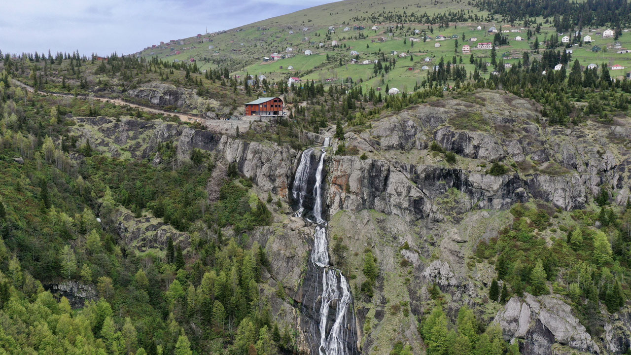 Foto - Mor ve sarı çiçekler, karla buluştu! Sis Dağı Yaylası'nda bahar büyüsü