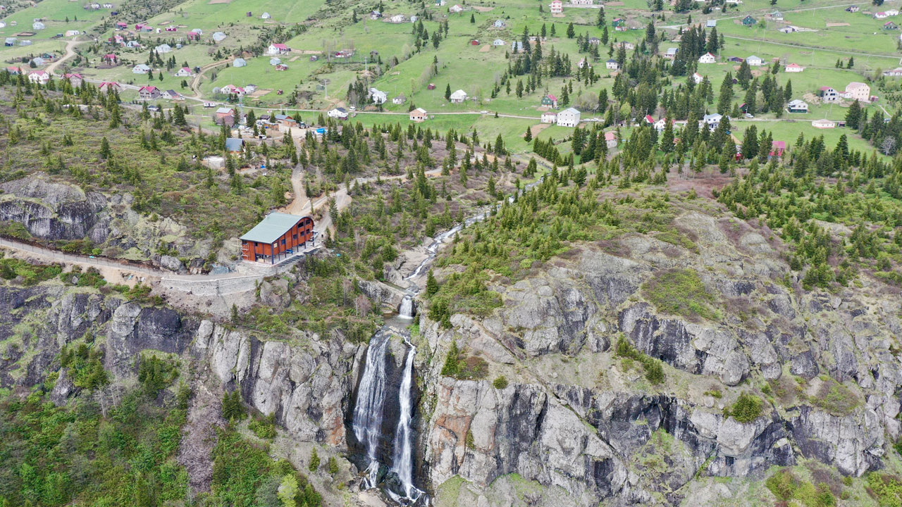 Mor ve sarı çiçekler, karla buluştu! Sis Dağı Yaylası'nda bahar büyüsü