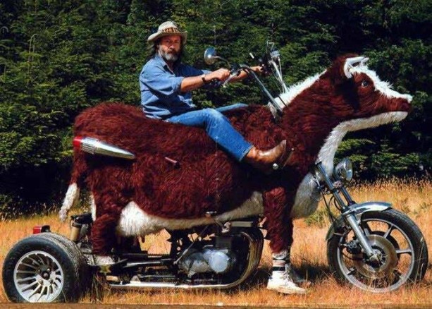 Foto - Motor tutkusunu 'başka boyut'a taşımış insanlar