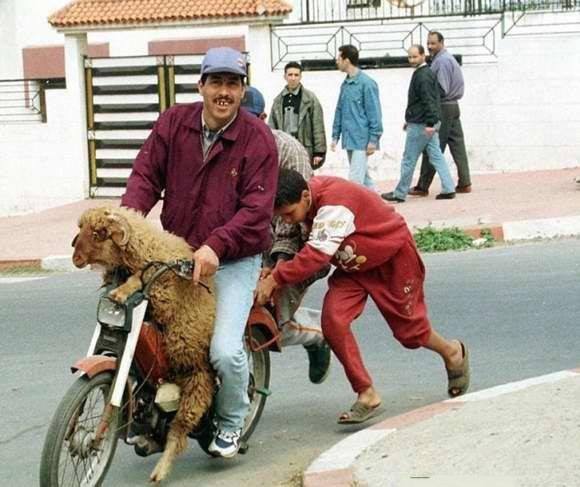Foto - Motor tutkusunu 'başka boyut'a taşımış insanlar