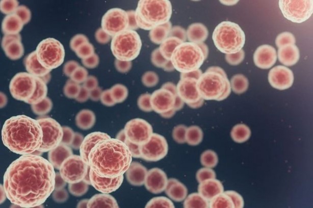 Foto - MRNA aşısı başarılı oldu! Kanserle mücadelede bir ilke imza atıldı