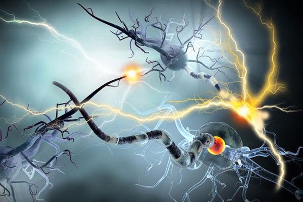 Foto - MS hastalığı tedavisinde büyük gelişme!