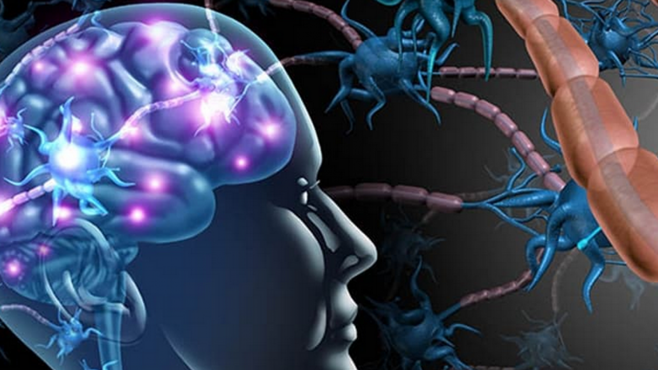 Foto - Ms tedavisinde yenilikçi adımlar umut vadediyor! Heyecanlandıran gelişme: Yana yakıla araştırmaya başladılar