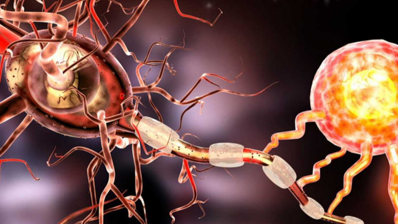 Foto - Ms tedavisinde yenilikçi adımlar umut vadediyor! Heyecanlandıran gelişme: Yana yakıla araştırmaya başladılar