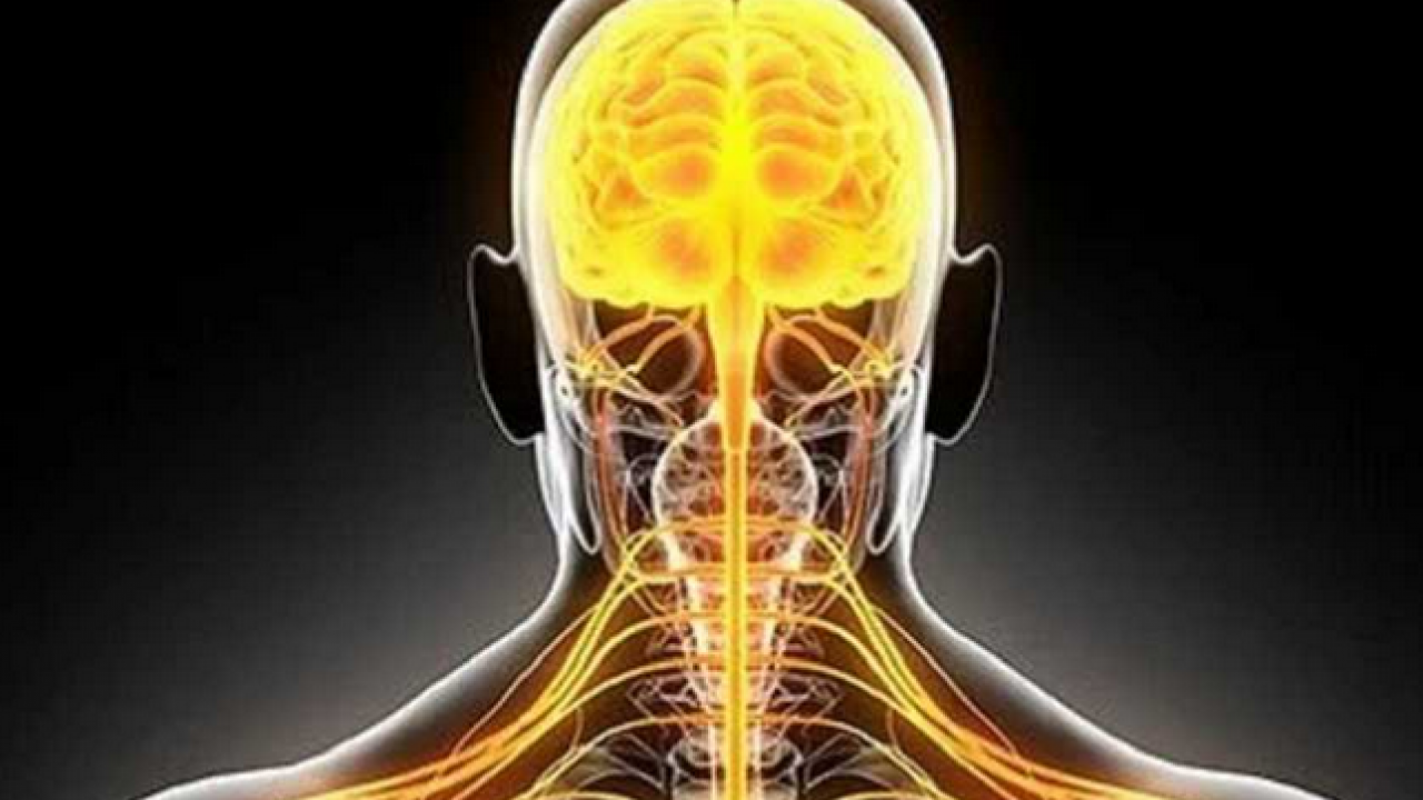 Foto - Ms tedavisinde yenilikçi adımlar umut vadediyor! Heyecanlandıran gelişme: Yana yakıla araştırmaya başladılar