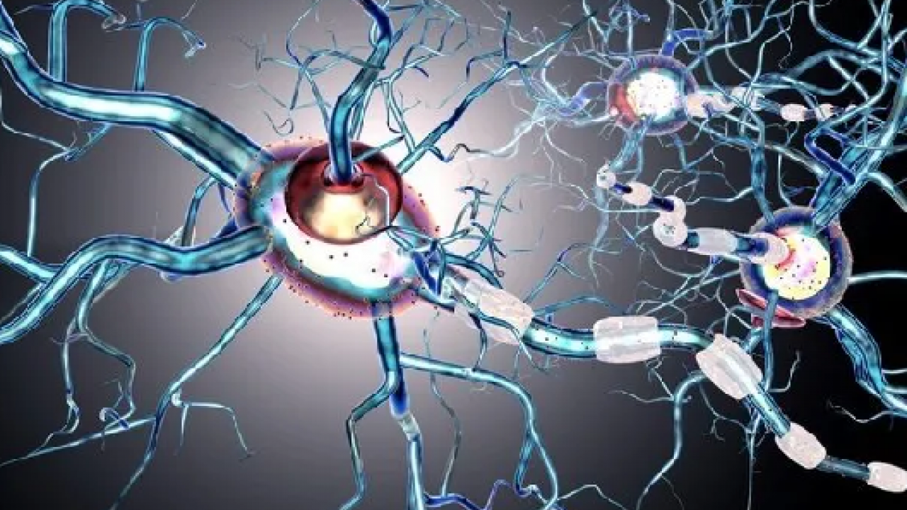 Foto - Ms tedavisinde yenilikçi adımlar umut vadediyor! Heyecanlandıran gelişme: Yana yakıla araştırmaya başladılar