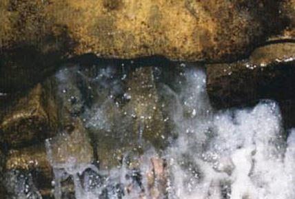 Foto - Mübarek Zemzemin hayrete düşüren sırrı