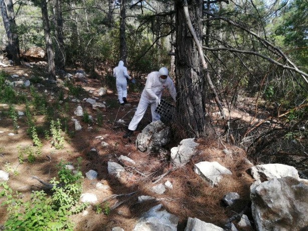 Foto - "Mücadelemizi gerçekleştiriyoruz" deyip 4 bin tanesini doğaya bıraktılar!