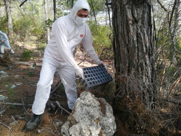 Foto - "Mücadelemizi gerçekleştiriyoruz" deyip 4 bin tanesini doğaya bıraktılar!