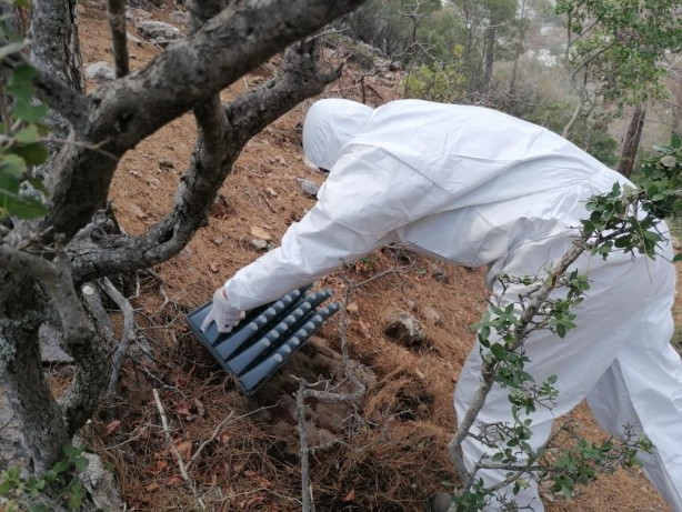Foto - "Mücadelemizi gerçekleştiriyoruz" deyip 4 bin tanesini doğaya bıraktılar!