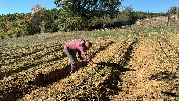 Foto - Mucize bitki çiçek açtı
