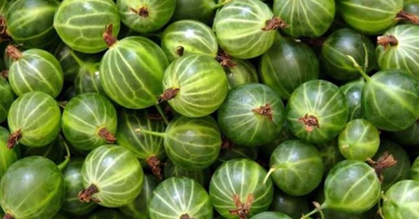  Mucizesine inanamayacaksınız!