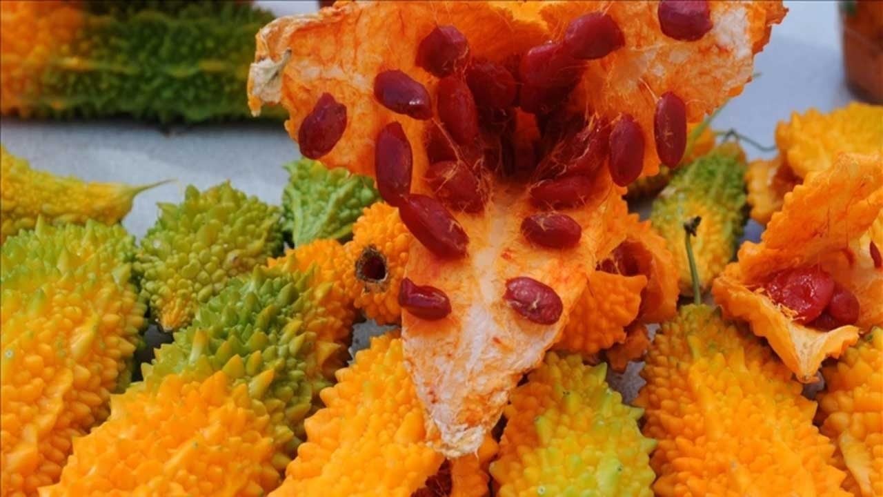 Foto - Mucizevi baharattan şifa akıyor! Hastalıklara kalkan olan altın baharatın mucizeleri saymakla bitmiyor!