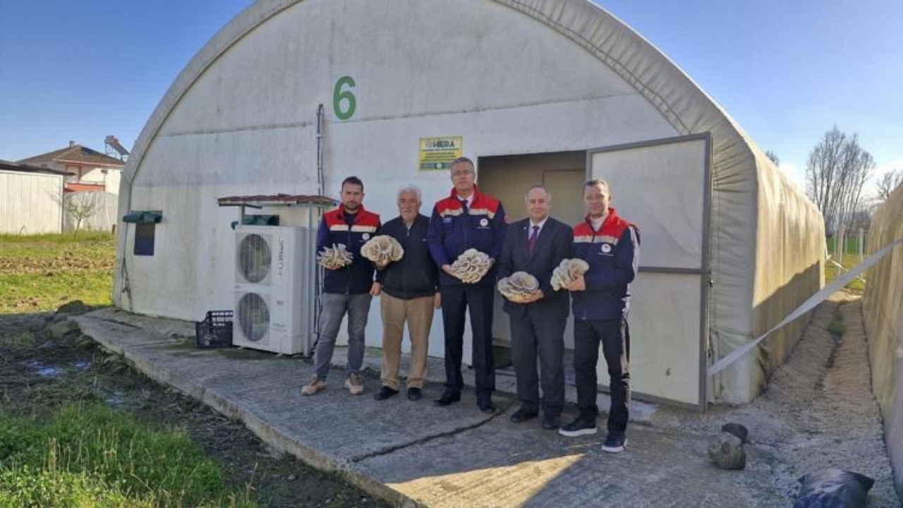 Mucizevi besinin hasadı Samsun’da başladı! Kemikleri beton gibi güçlendirip kolesterolü tepetaklak düşürüyor