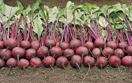 Foto - O 7 mucizevi gıda açıklandı! Tabak tabak yeseniz de kalorisi sıfır