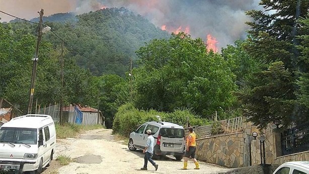 Muğla'daki yangın Denizli'ye ulaştı! Maalesef ciğerlerimiz yanıyor