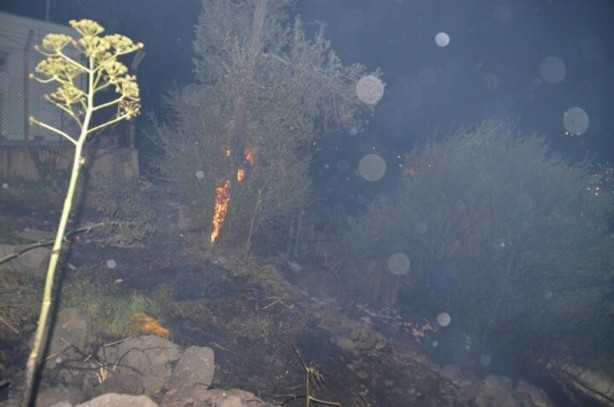 Muğla’da beşer dakika arayla iki orman yangını